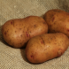 Насіннєва рання картопля "Тірас" (1 репродукція, на пюре) 1кг