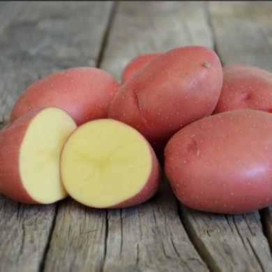 Семенной  ранний картофель "Ред леди" (1 репродукция, для варки, жарки) 1кг
