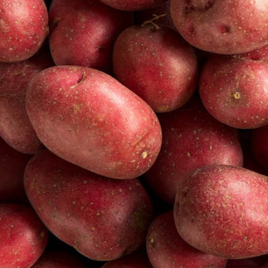 Семенной среднеспелый картофель "Алюэтт" (1 репродукция, универсального назначения) 1кг