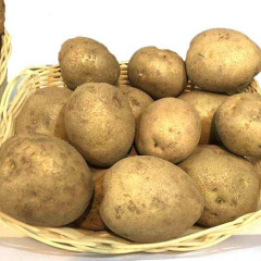 Насіннєва середньостигла картопля "Карат" (Еліта, для універсального призначення) 1кг