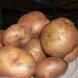 Семенной среднеранний картофель "Свитанок Киевский" (Элита, универсального назначения) 1кг