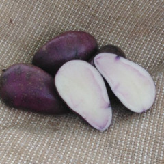 Насіннєва середньорання картопля "Гурман" (1 репродукція, дієтичний сорт) 1кг