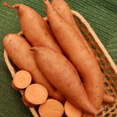 Батат "Бельву" 1 шт