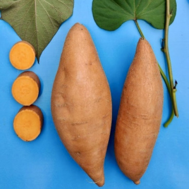 Батат "Бельву" 1 шт