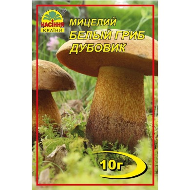 Белый гриб Дубовик 10 г