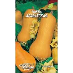 Гарбуз "Арабатський" 3г Укр насіння