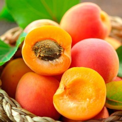 Персик-абрикос "Ромео"
