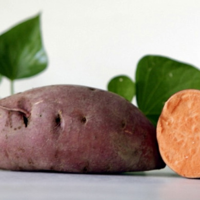 Батат "Рубин Каролины" 1 шт