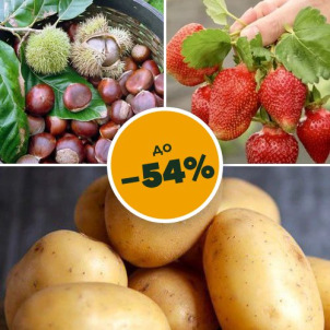 Огурцы, клубника, картофель и каштан со скидкой до −54%