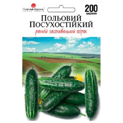Огірок "Польовий посухостійкий" (200 шт)