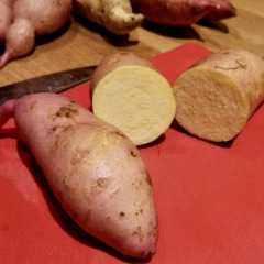 Батат "Тайнунг" (Т65) 1 шт