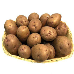 Насіннєва середньостигла картопля "Ажур" (Еліта, для універсального призначення) 1кг