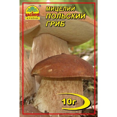 Польский гриб 10 г