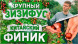 Зизифус "Унаби" Перекрестное опыление 1 год
