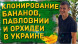 Банан карликовый "Кавендиш" (Закрытый корень) 20-30 см