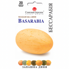 Дыня "Бессарабия" (20 шт.)