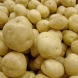 Насіннєва середньорання картопля "Невський" (Еліта, універсального призначення) 1кг