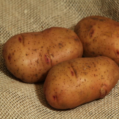 Семенной ранний картофель "Тирас" (Элита, на пюре) 1кг