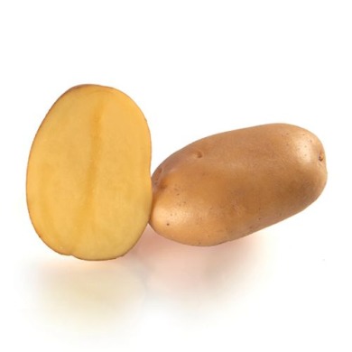 Семенной среднеранний картофель "Маэстро" (1 репродукция, для жарки) 1кг