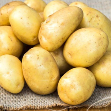 Семенной среднеспелый картофель "Воларе" (1 репродукция, столового назначения) 1кг