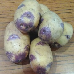 Семенной картофель "Блу Бел" (1 репродукция, для жарки, варки, запекания) 1 кг