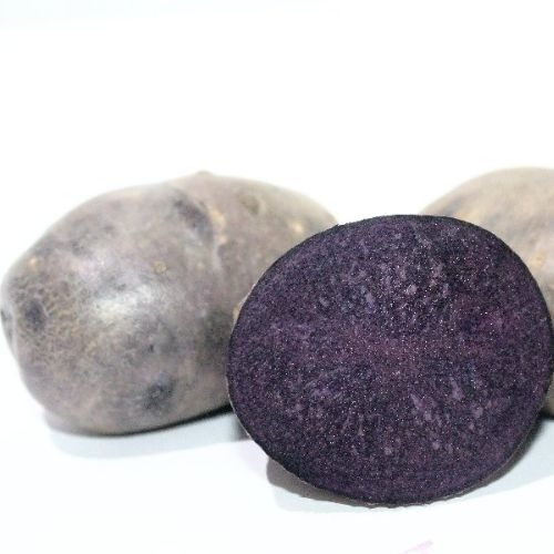 Семенной ранний фиолетовый картофель \