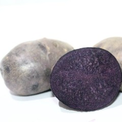 Семенной ранний фиолетовый картофель "Солоха" (1 репродукция, универсальный сорт) 0,5 кг