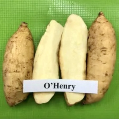 Батат "О'Генри" 1 шт Батат "О