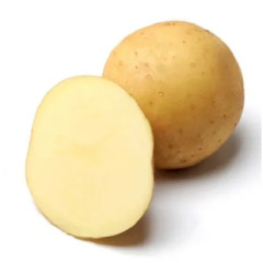 Насіннева середньорання картопля "Лілі" (1 репродукція, універсальне столове призначення) 1 кг