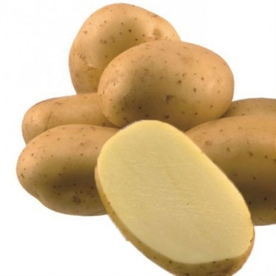 Семенной раннеспелый картофель "Эрроу" (Элита, универсального назначения) 1кг