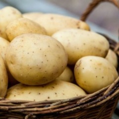 Насіннєва ранньостигла картопля "Ерроу" (Еліта, універсального призначення) 1кг