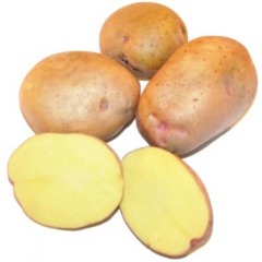 Семенной ранний картофель "Левада" (Элита, на жарку, чипсы, картофель фри) 1кг