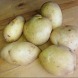 Семенной среднеспелый картофель "Явир" (Элита, для пюре, варки) 1кг