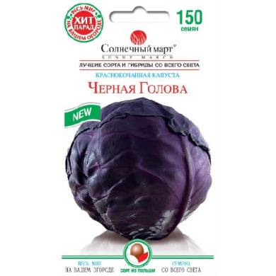 Капуста краснокачанная "Черная голова" (150 шт)