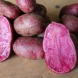 Насіннєва картопля "All red" (1 репродукція, універсальна в кулінарії) 0,5 кг