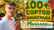 Виноград столовий "Кардинал молдови"