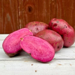 Насіннєва середньостигла картопля "Мюльбері" (Еліта, універсального призначення) 0,5 кг