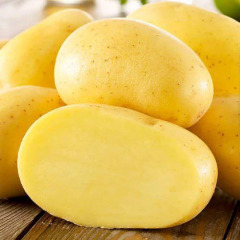 Насіннєва середньорання картопля "Джеллі" (1 репродукція, сорт столового призначення) 20 кг