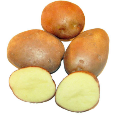 Семенной раннеспелый картофель "Серпанок" (Элита, для супов и жарки) 1кг