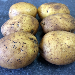 Семенной среднеранний картофель "Партнер" (Элита, на жарку, картофель фри) 1кг