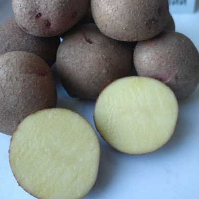 Семенной среднеспелый картофель "Шедевр" (Элита, для универсального назначения) 1кг