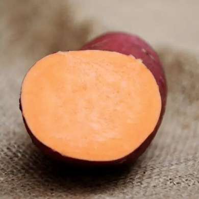 Батат "Джорджия Джет" 1 шт Батат "Джорджия Джет" 1 шт