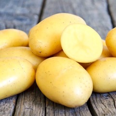 Семенной картофель "Ривьера" (1 репродукция, для варки) 1 кг КРУПНАЯ ФРАКЦИЯ