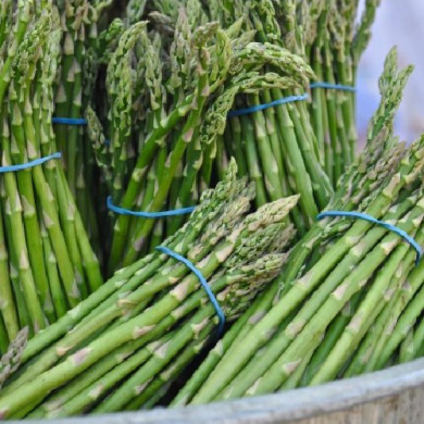 Спаржа "Backlim" гибрид (поздняя)