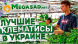 Клематис "Gravetye Beauty"