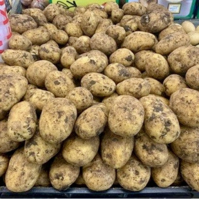 Семенной среднепоздний картофель "Агрия" (1 репродукция, для варки,салатов,запекания) 20 кг