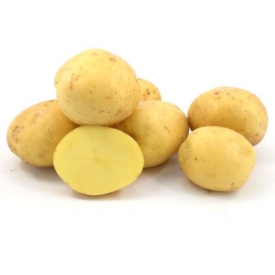 Насіннєва середньопізня картопля "Коннект" (1 репродукція, столовий сорт) 1кг