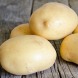 Семенной среднепоздний картофель "Коннект" (1 репродукция, столовый сорт) 1кг