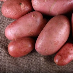 Семенной среднеспелый картофель "Фотыния" (Элита, универсального назначения) 1кг