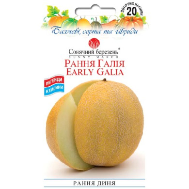 Дыня "Ранняя Галия" (20 шт)